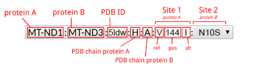 ΔΔG inter-protein legend
